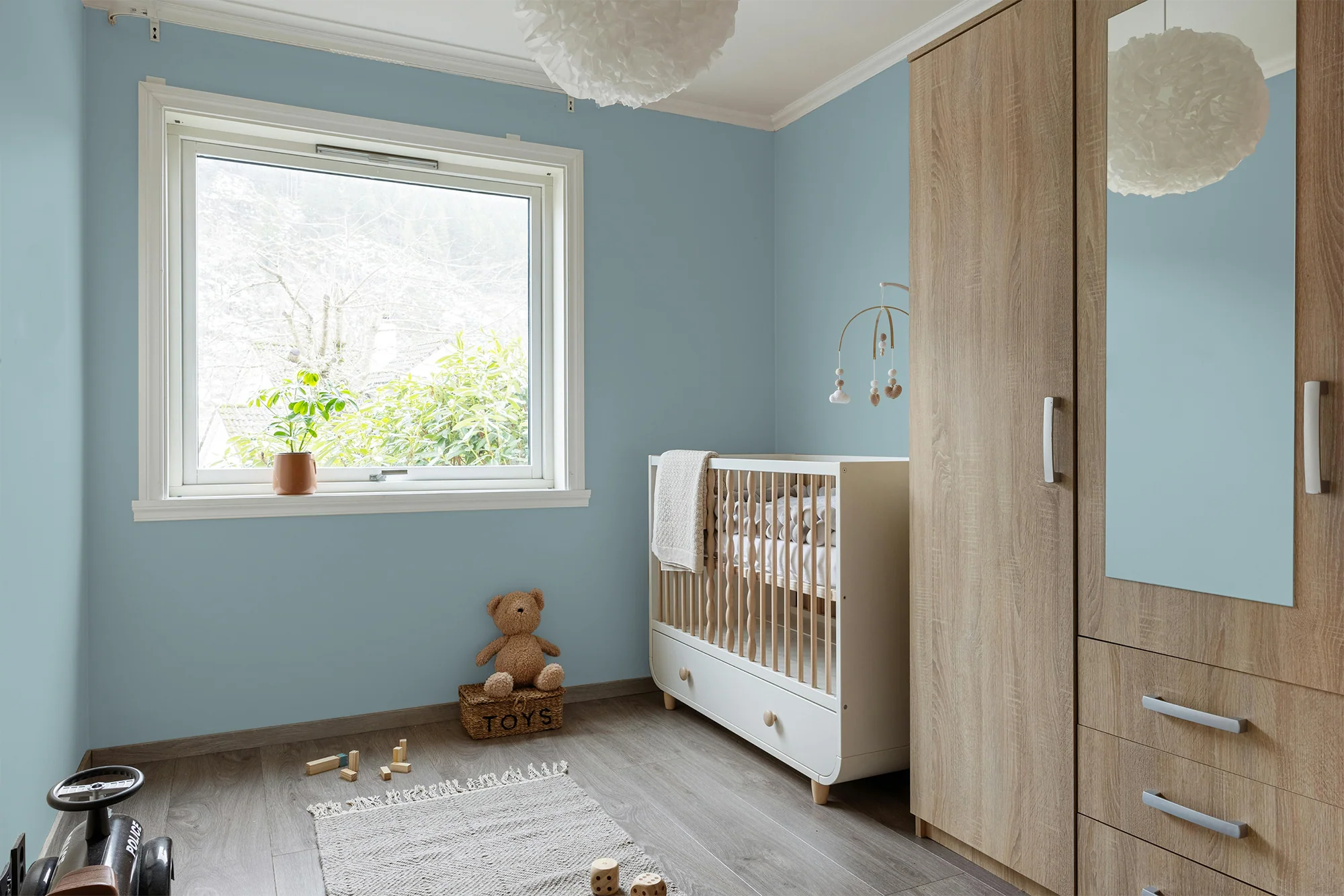 Agapanthe - Peinture biosourcée murs et plafonds - Image 5