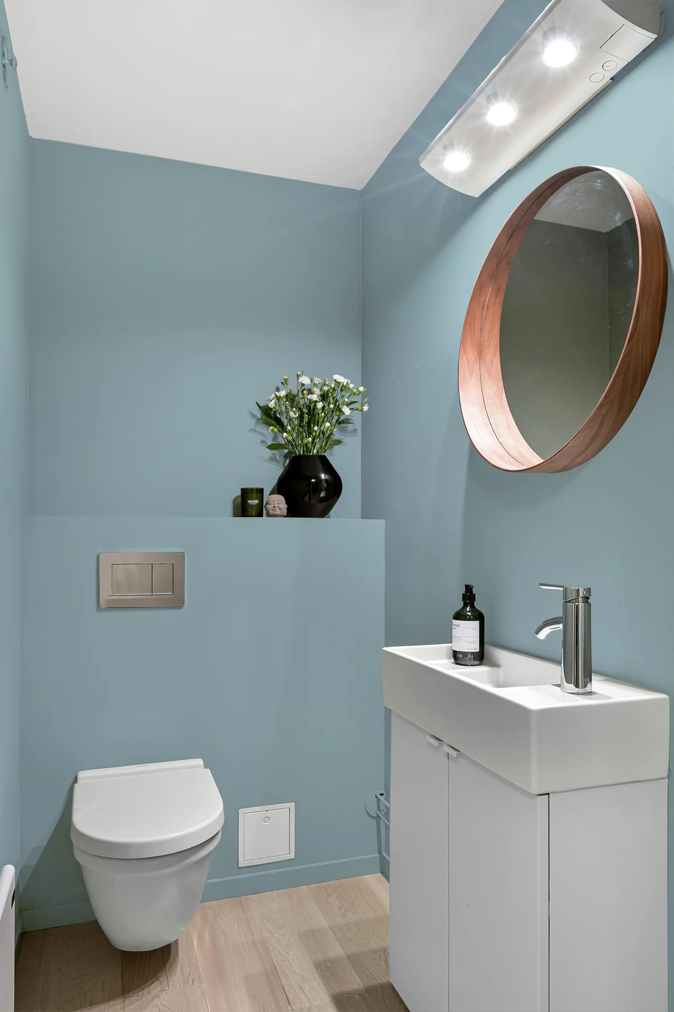 Agapanthe - Peinture biosourcée murs et plafonds - Image 7