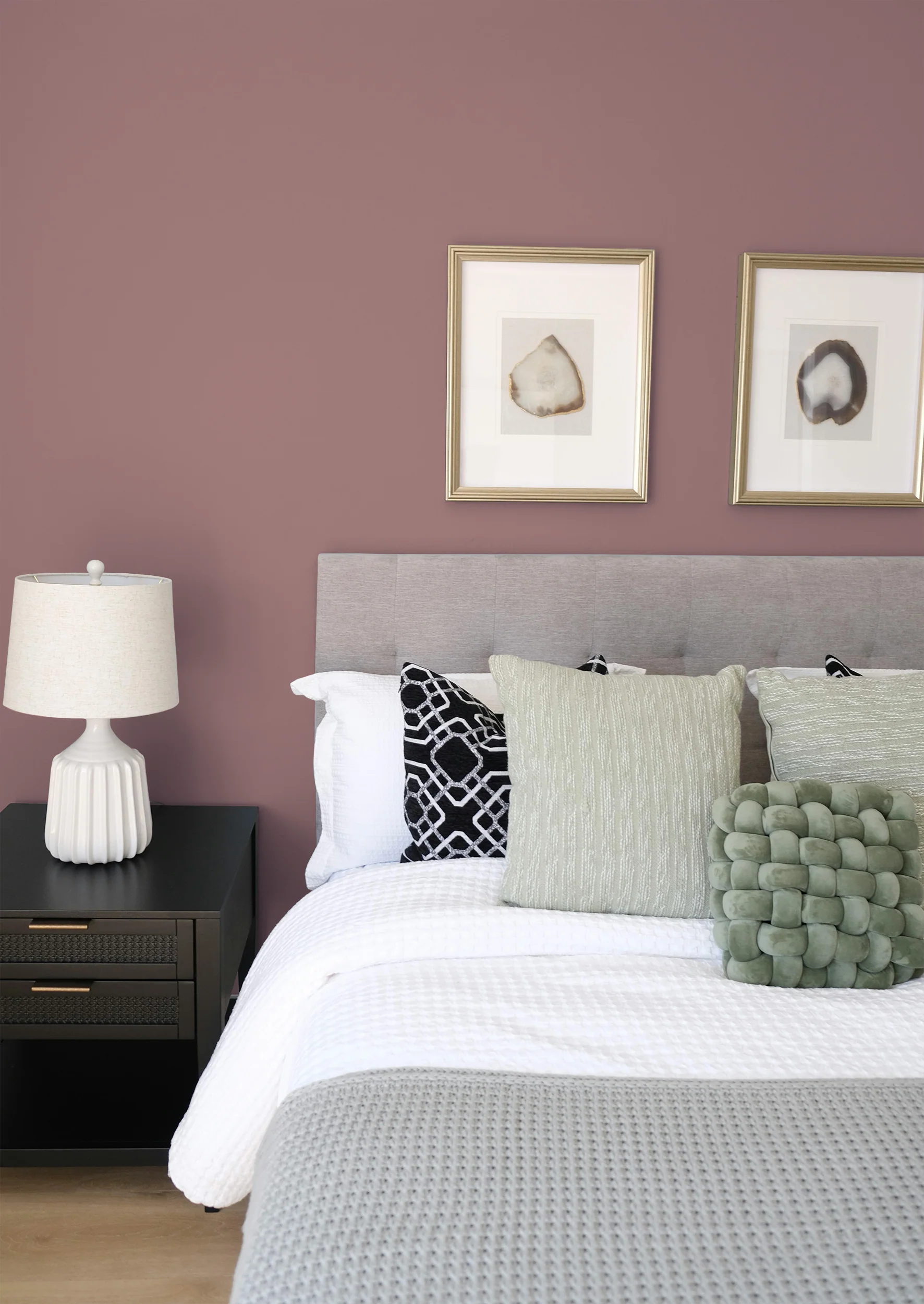 Blusher - Peinture biosourcée murs et plafonds - Image 4