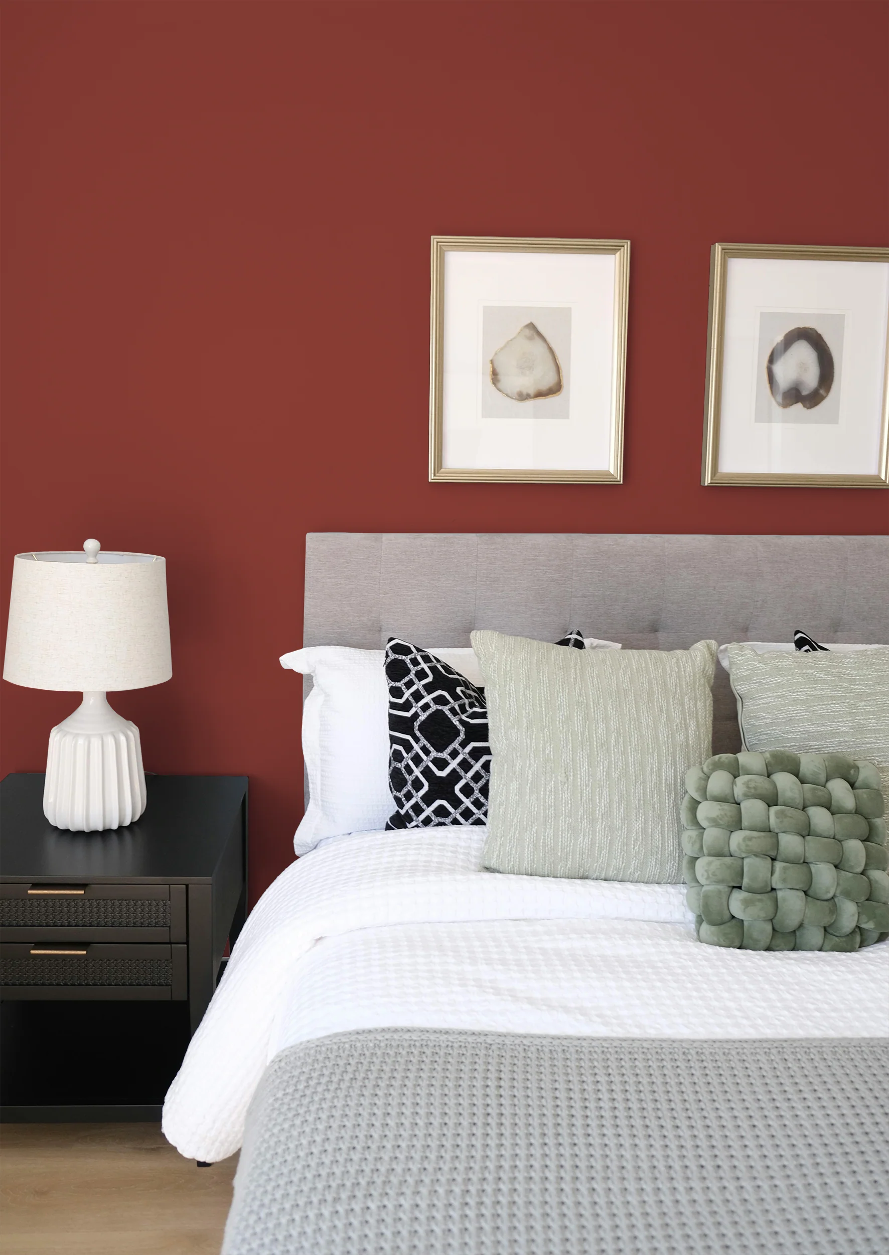 Grive - Peinture biosourcée murs et plafond - Image 7