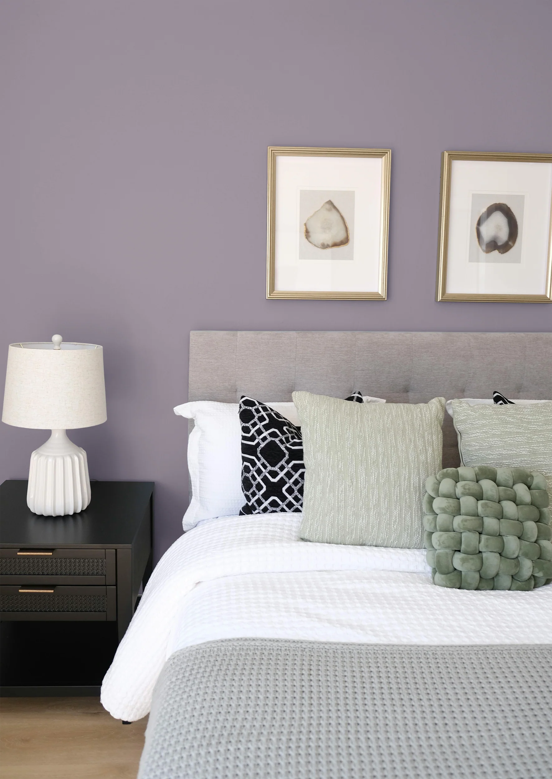 Malvacée - Peinture biosourcée murs et plafonds - Image 4