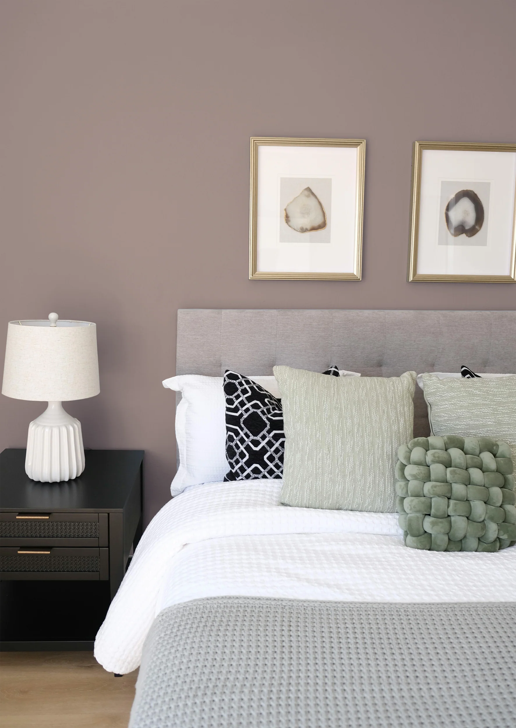 Pécan - Peinture biosourcée murs et plafonds - Image 4