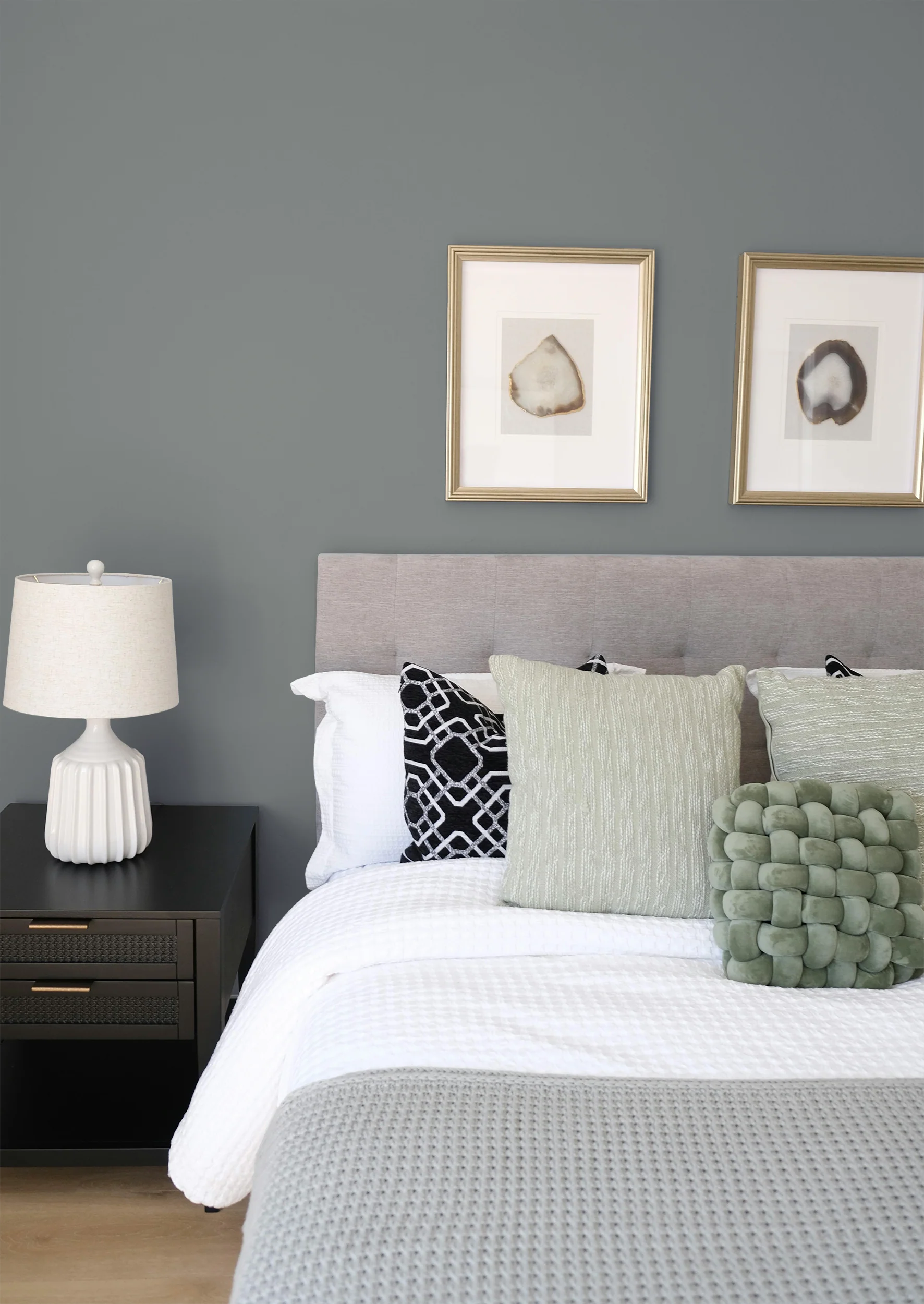 Roselière - Peinture biosourcée murs et plafonds - Image 4