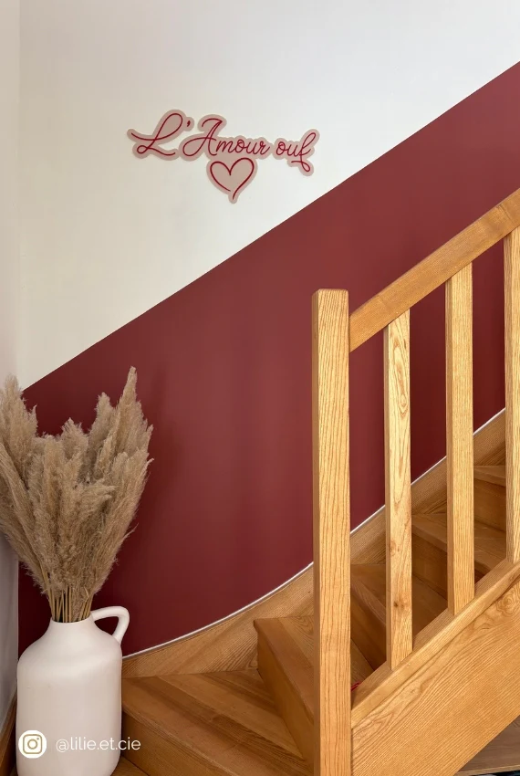 Rouille - Peinture biosourcée murs et plafond - Image 3