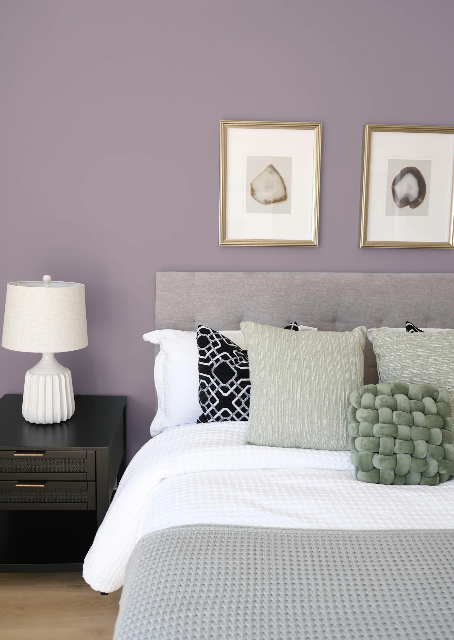 Ruban - Peinture biosourcée murs et plafonds - Image 4