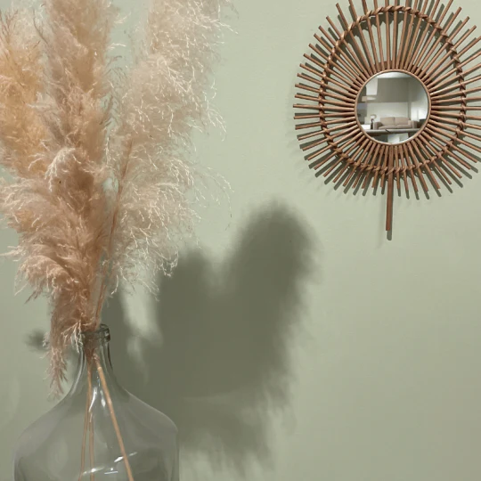 Sapinette - Peinture biosourcée murs et plafonds - Image 3